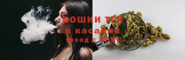 ПСИЛОЦИБИНОВЫЕ ГРИБЫ Верея