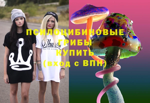 ПСИЛОЦИБИНОВЫЕ ГРИБЫ Верея