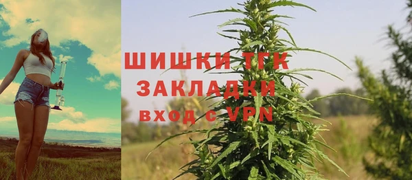герыч Мегион