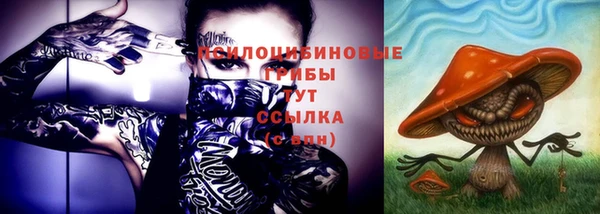 ГАЛЛЮЦИНОГЕННЫЕ ГРИБЫ Медногорск