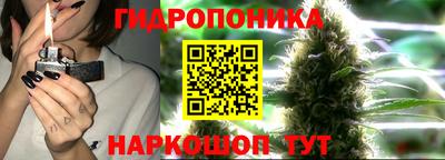 прущие грибы Балашиха