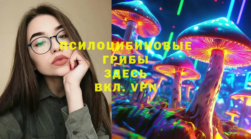 где можно купить   Качканар  Псилоцибиновые грибы Magic Shrooms 