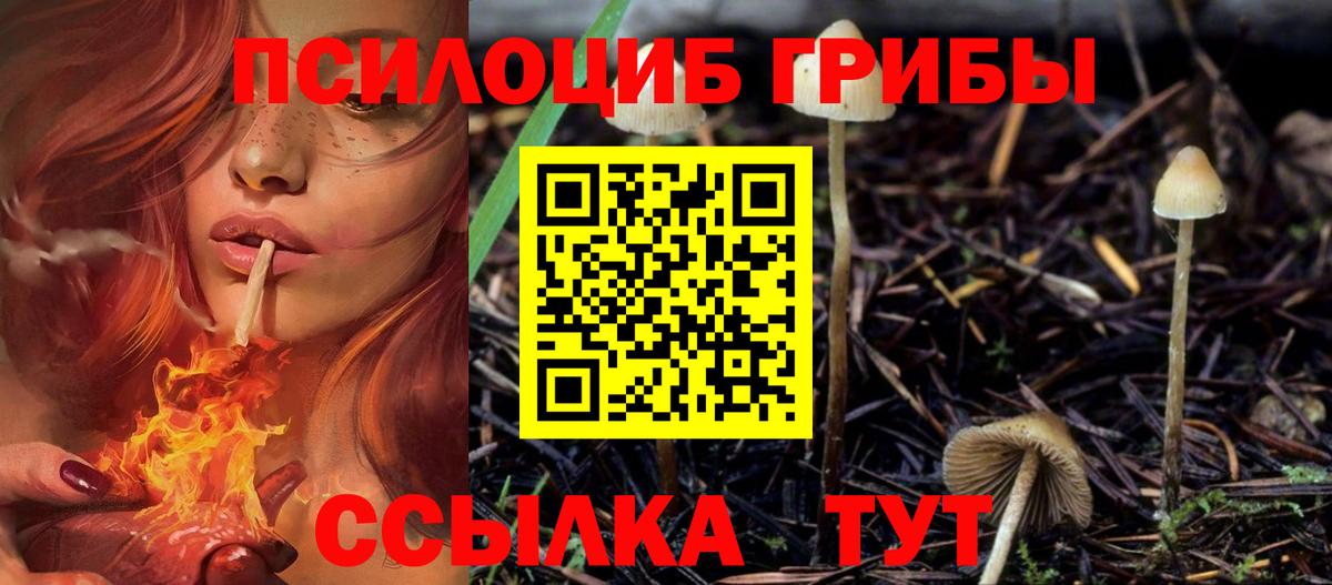 Галлюциногенные грибы Magic Shrooms  Вход с VPN  Псилоцибиновые грибы MAGIC MUSHROOMS  Качканар 