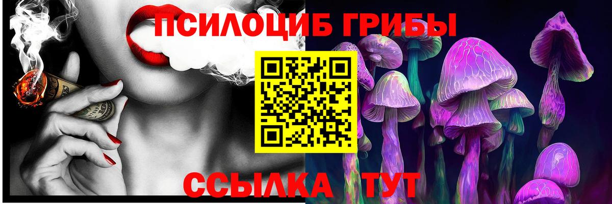 Псилоцибиновые грибы Psilocybe  продажа наркотиков  Качканар 