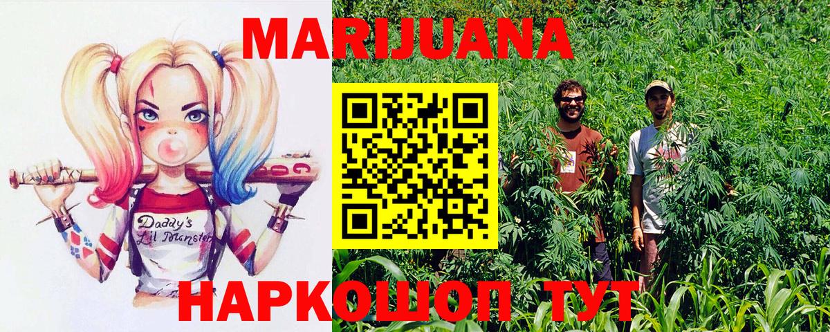 Конопля конопля  Каннабис сатива  Вход с VPN  Качканар  Бошки марихуана тримм 